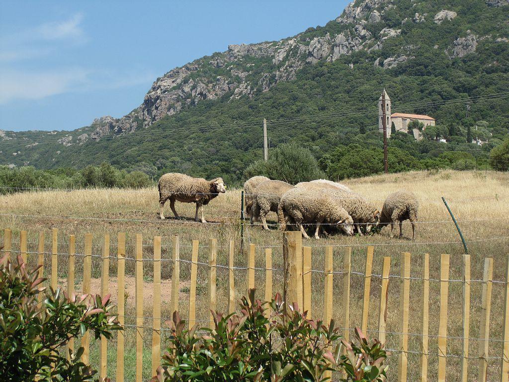 Clos Simoni