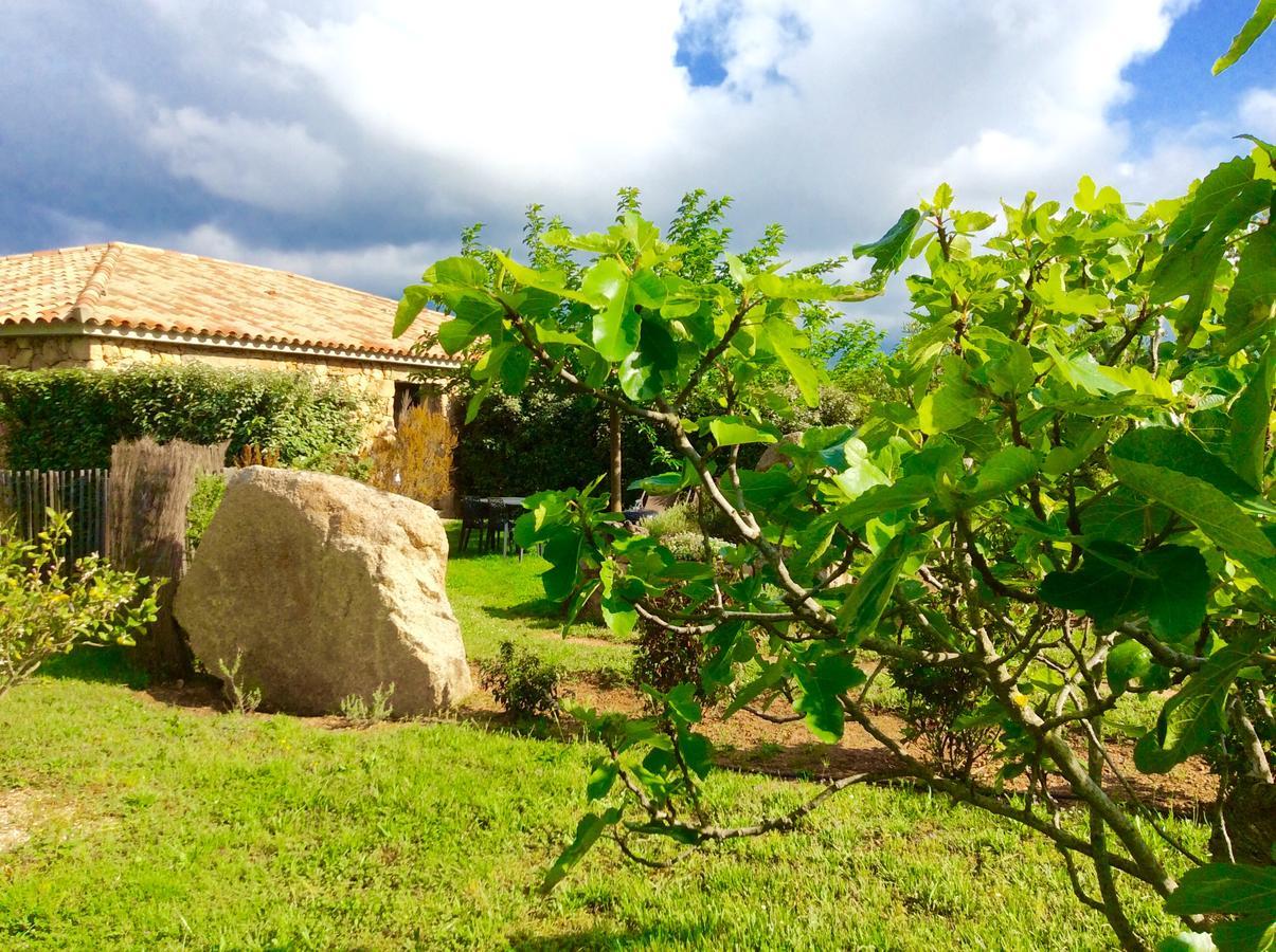 Clos Simoni Figari (Corsica)