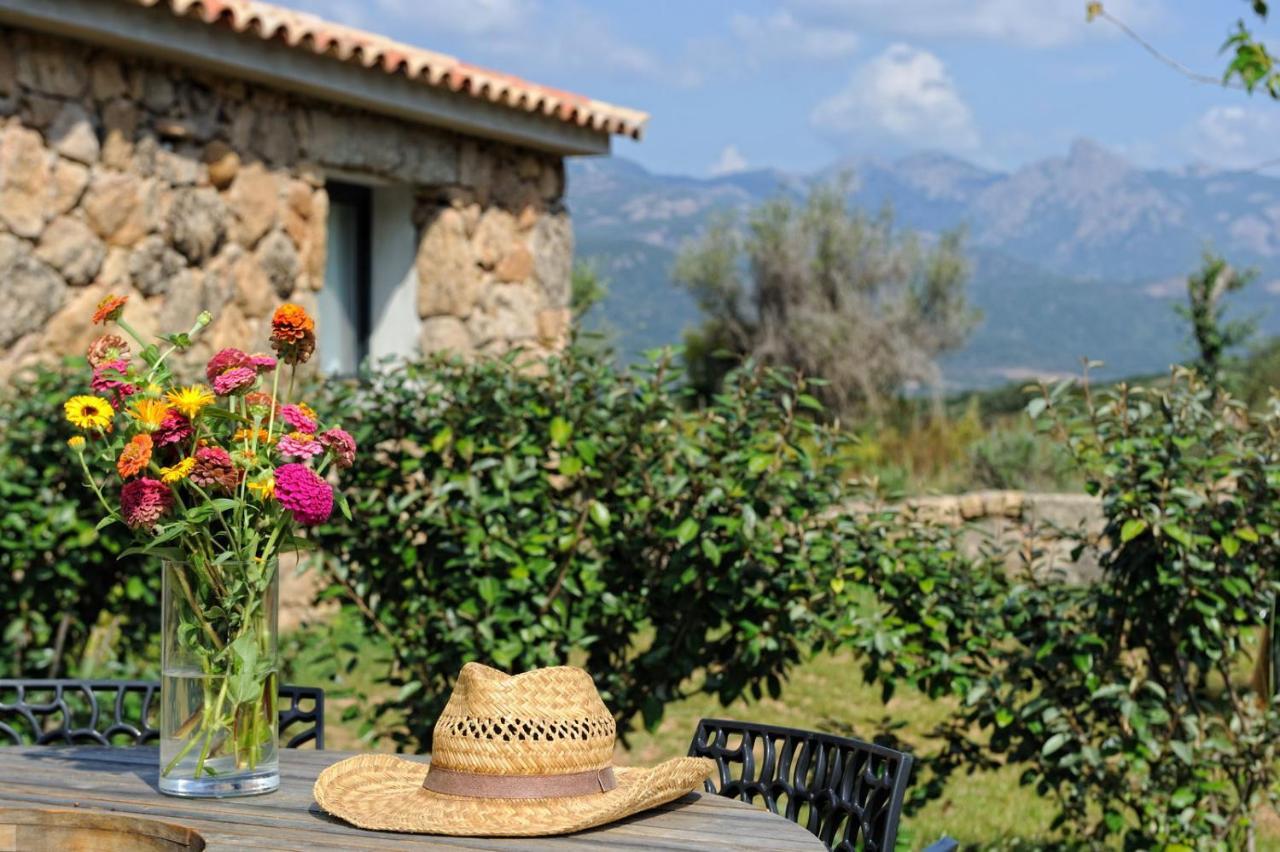 Clos Simoni Country house Figari (Corsica)