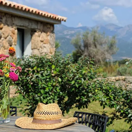Clos Simoni Figari  Buitenkant foto
